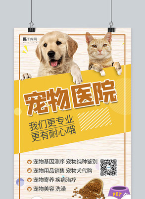 春分時節(jié)，與愛寵共迎生機——卡通剪紙風春分節(jié)氣寵物用品海報