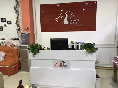 寵物連鎖店的利潤(rùn)核心 解讀寵物用品銷售背后的商業(yè)邏輯