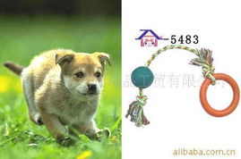 廈門(mén)安芬寵物用品工貿(mào) 精選寵物玩具產(chǎn)品列表與銷售指南